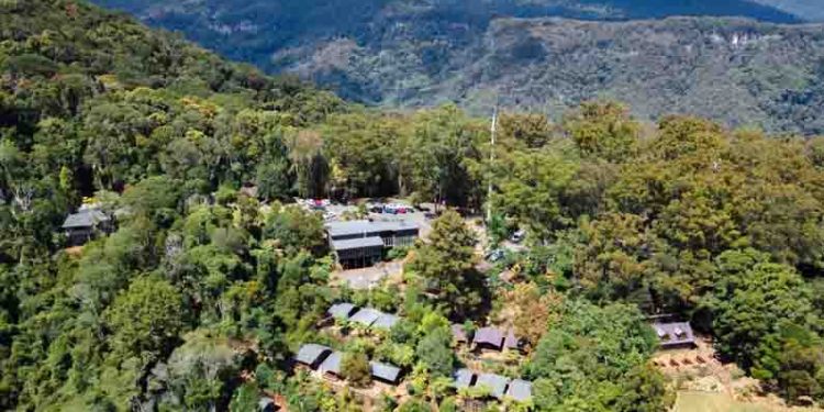 Binna Burra Lodge Rainforest Campsite